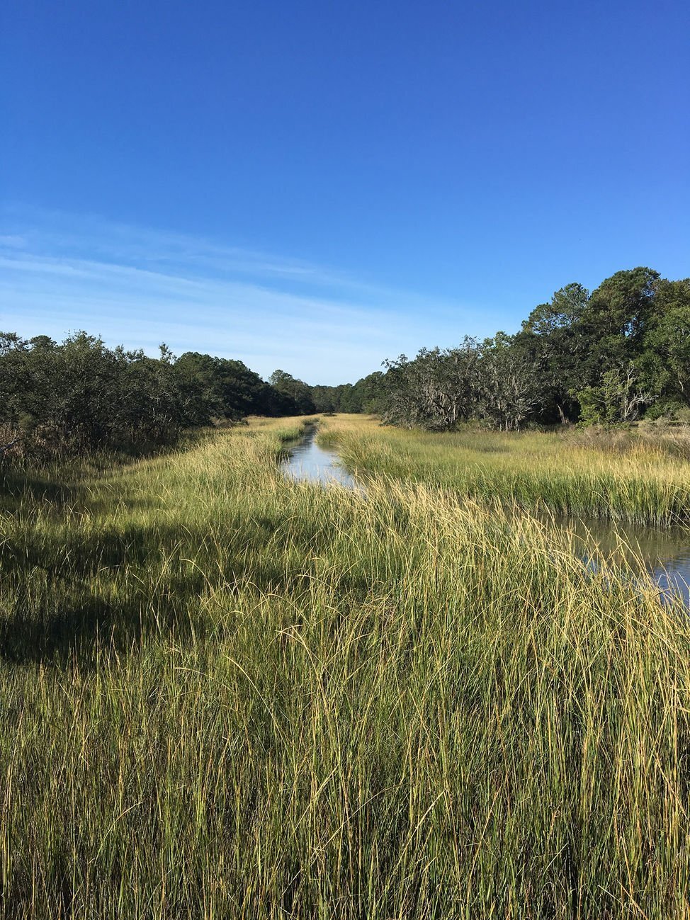 Goose Creek