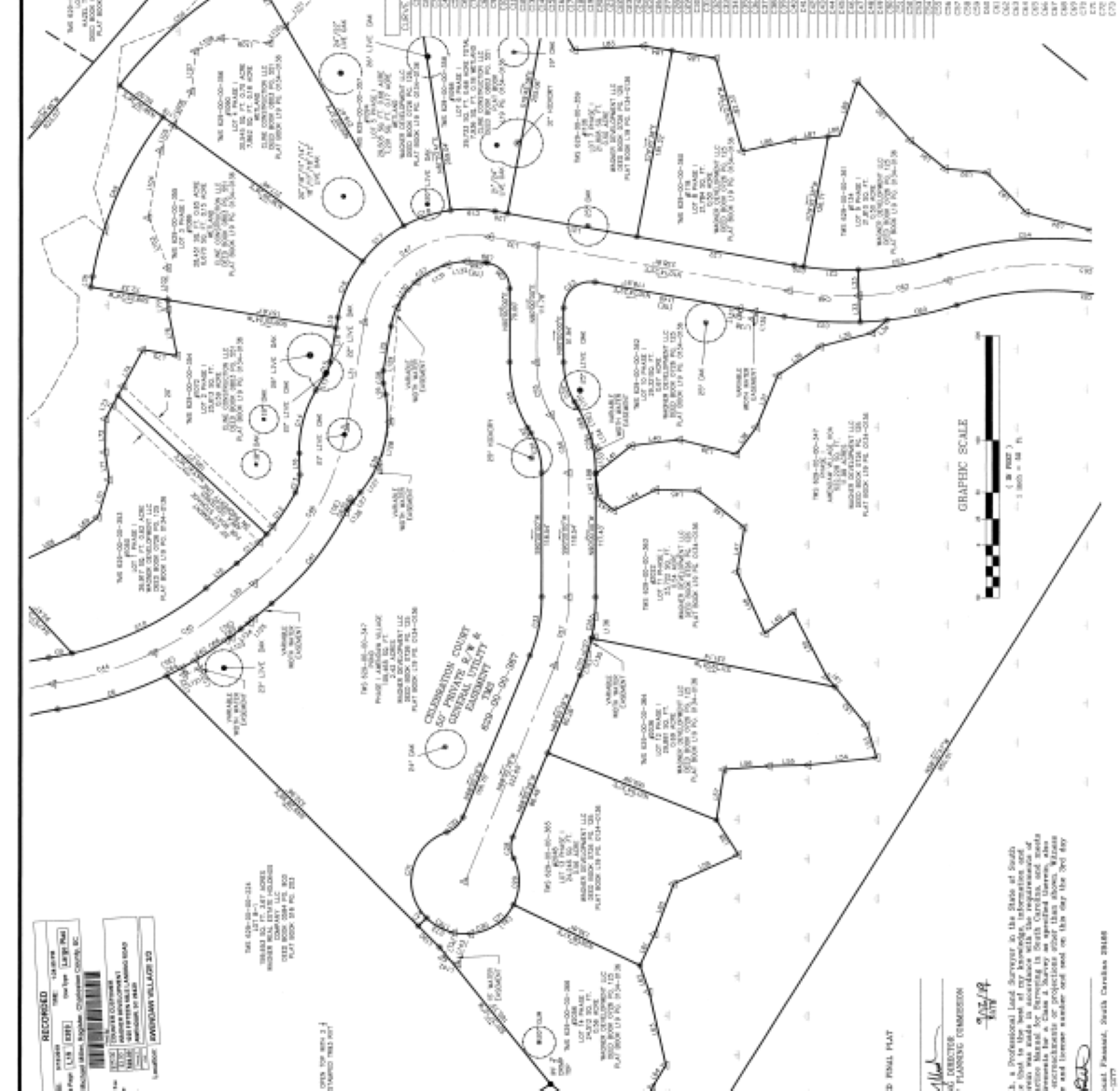 Awendaw Village photo 3