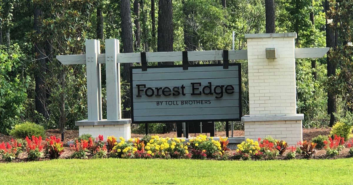 Forest Edge