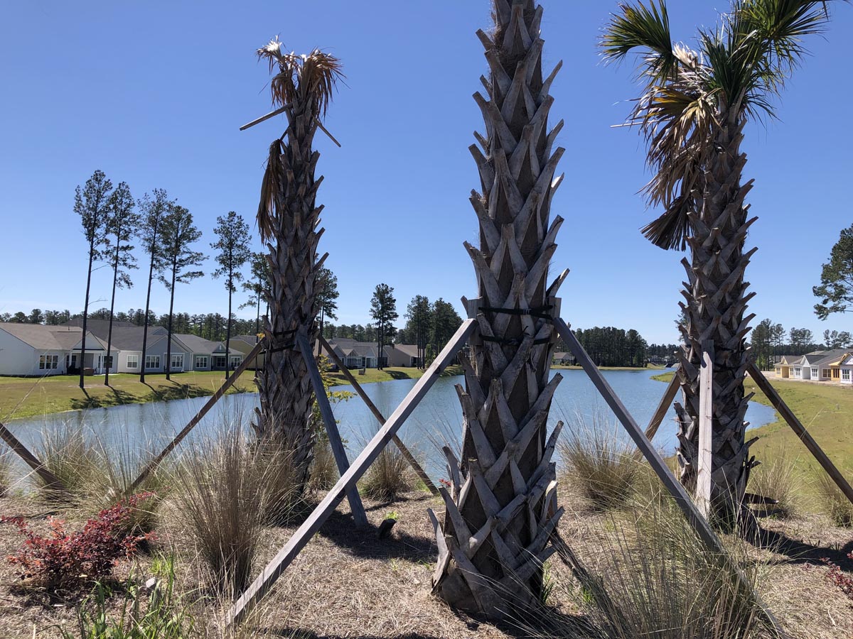 Cane Bay Plantation: Four Seasons photo 19