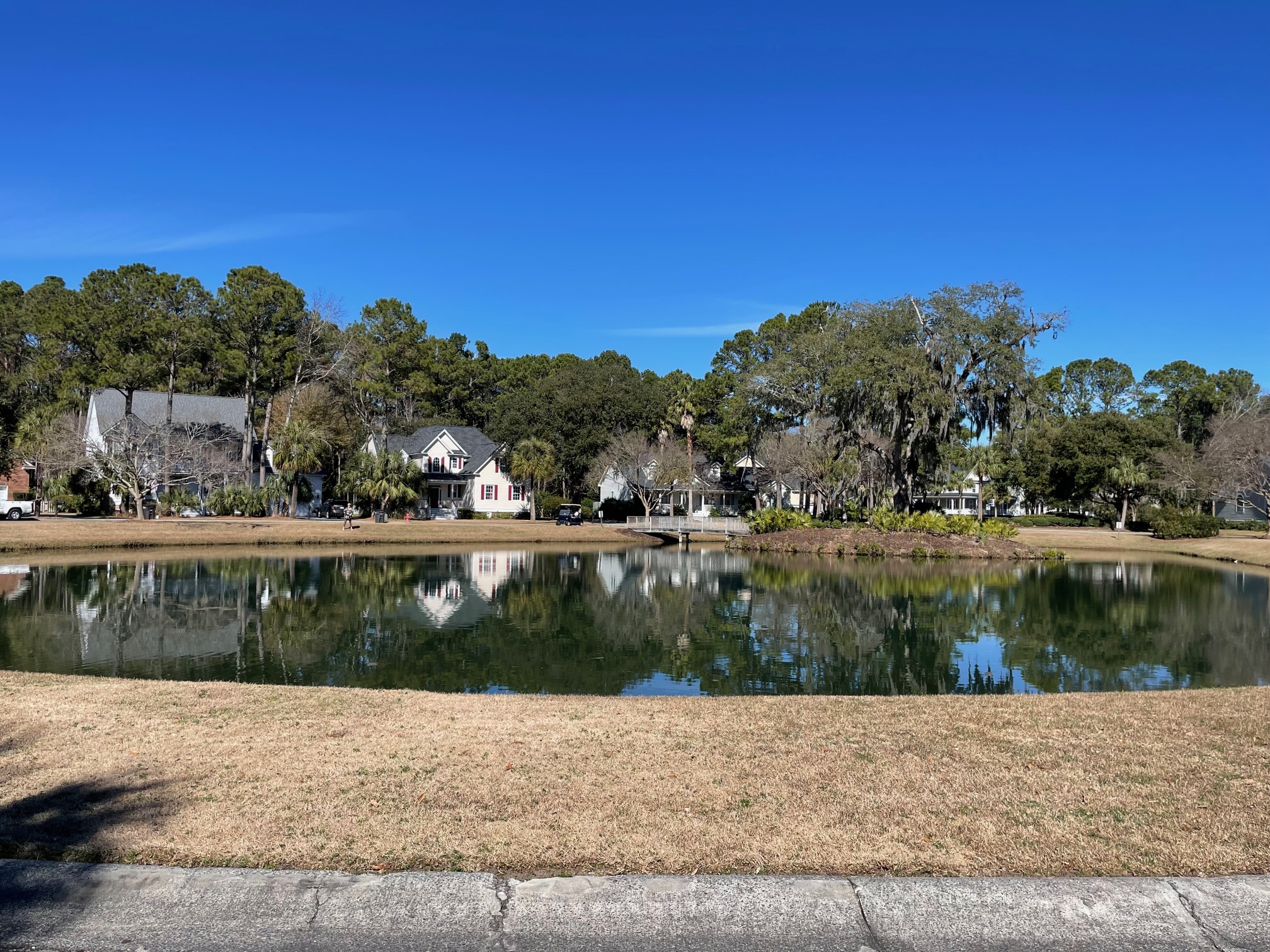 Hamlin Plantation photo 22