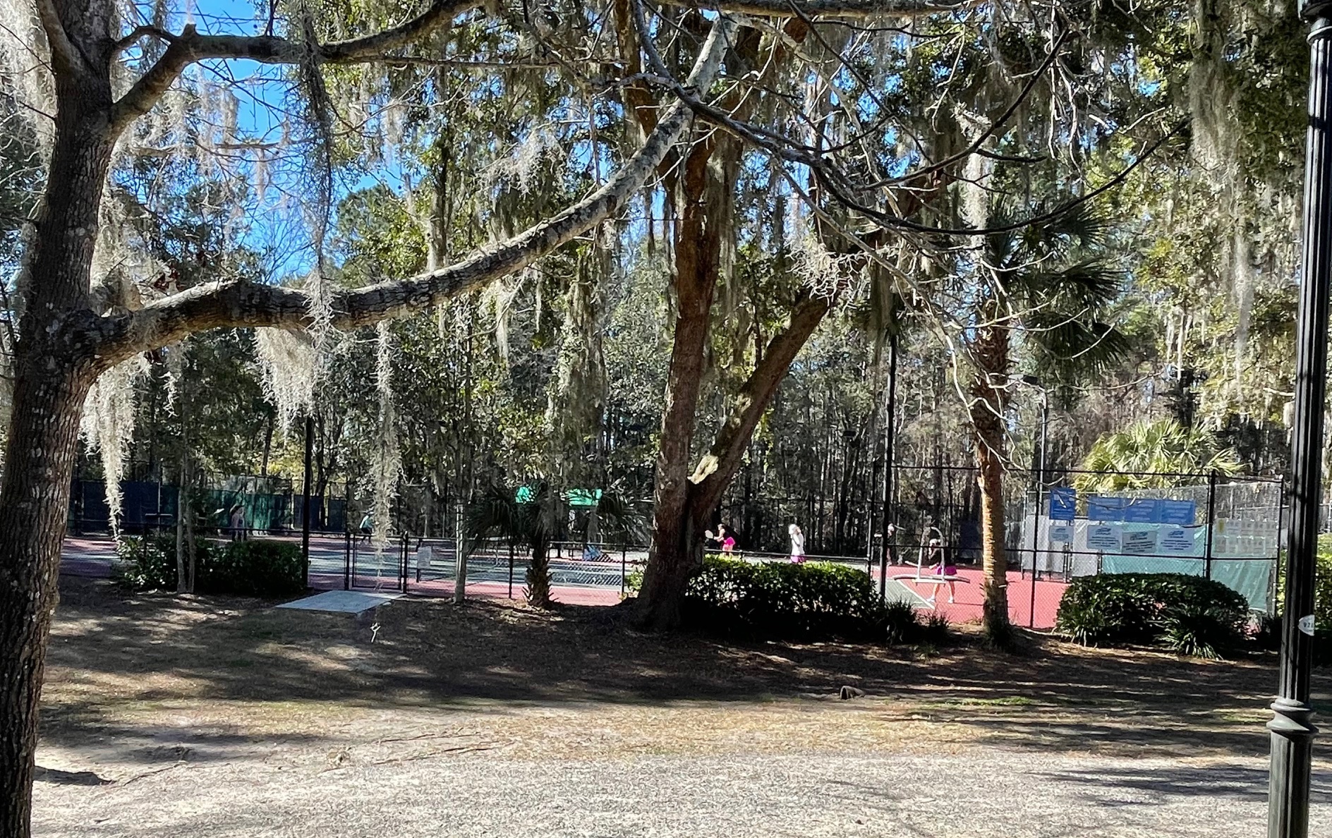 Hamlin Plantation photo 5