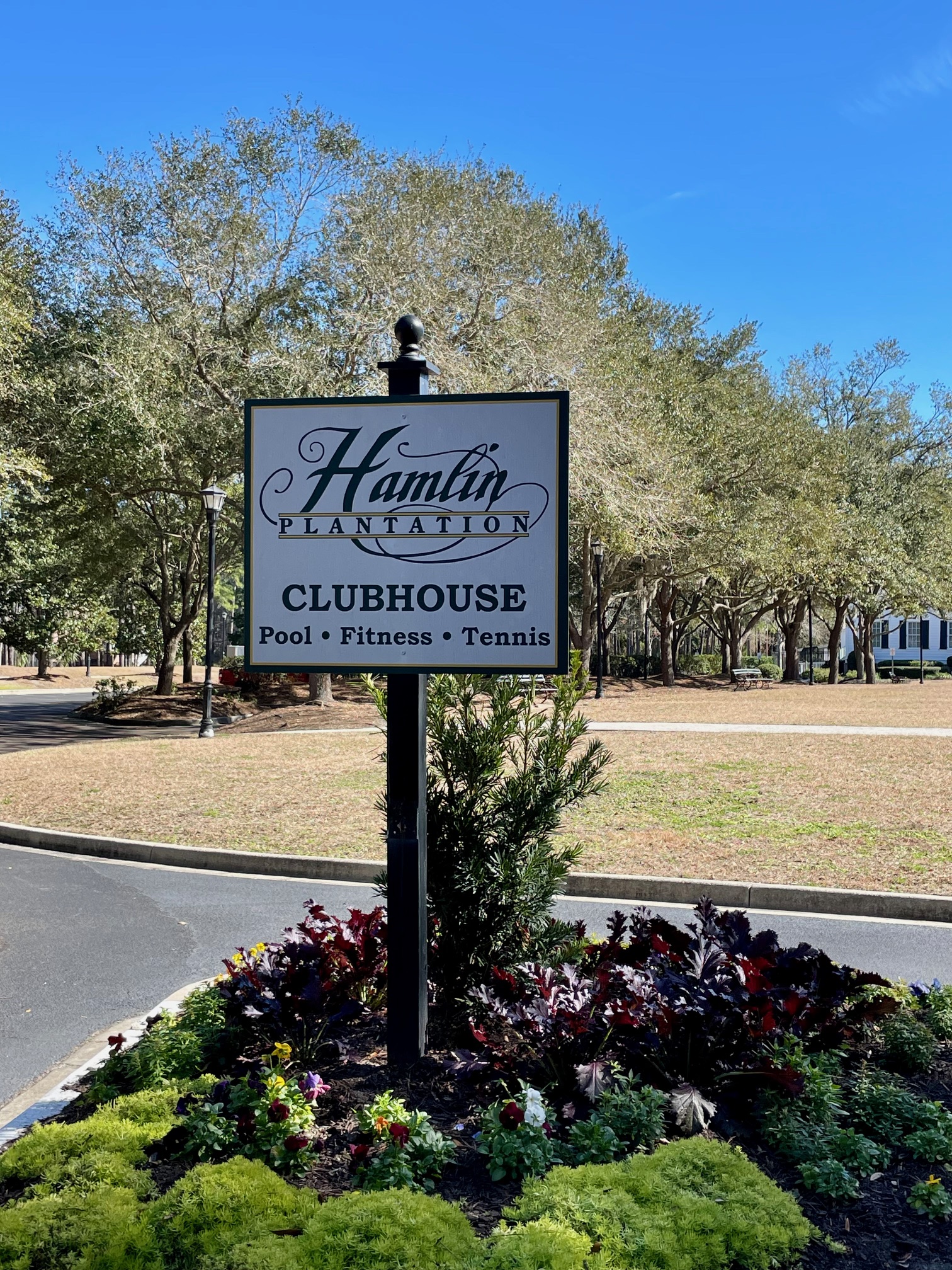 Hamlin Plantation photo 7