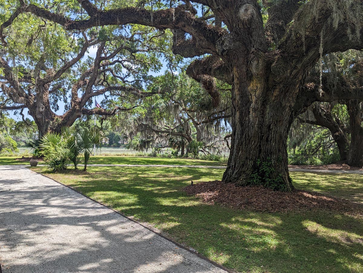 Kiawah River photo 11