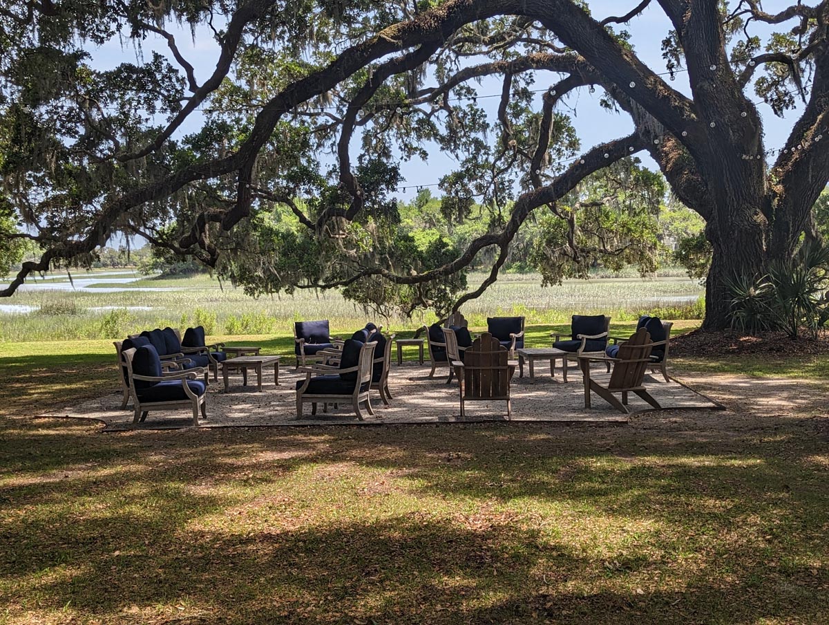 Kiawah River: New Leaf photo 11