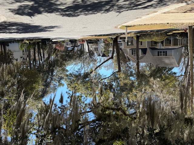 Laurel Lakes photo 12
