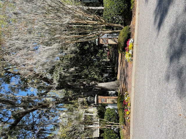 Park West  photo 3