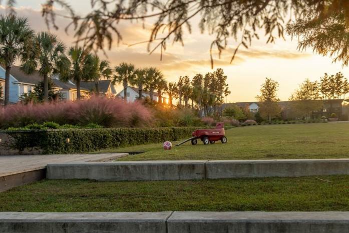 Nexton Midtown: Pulte photo 7