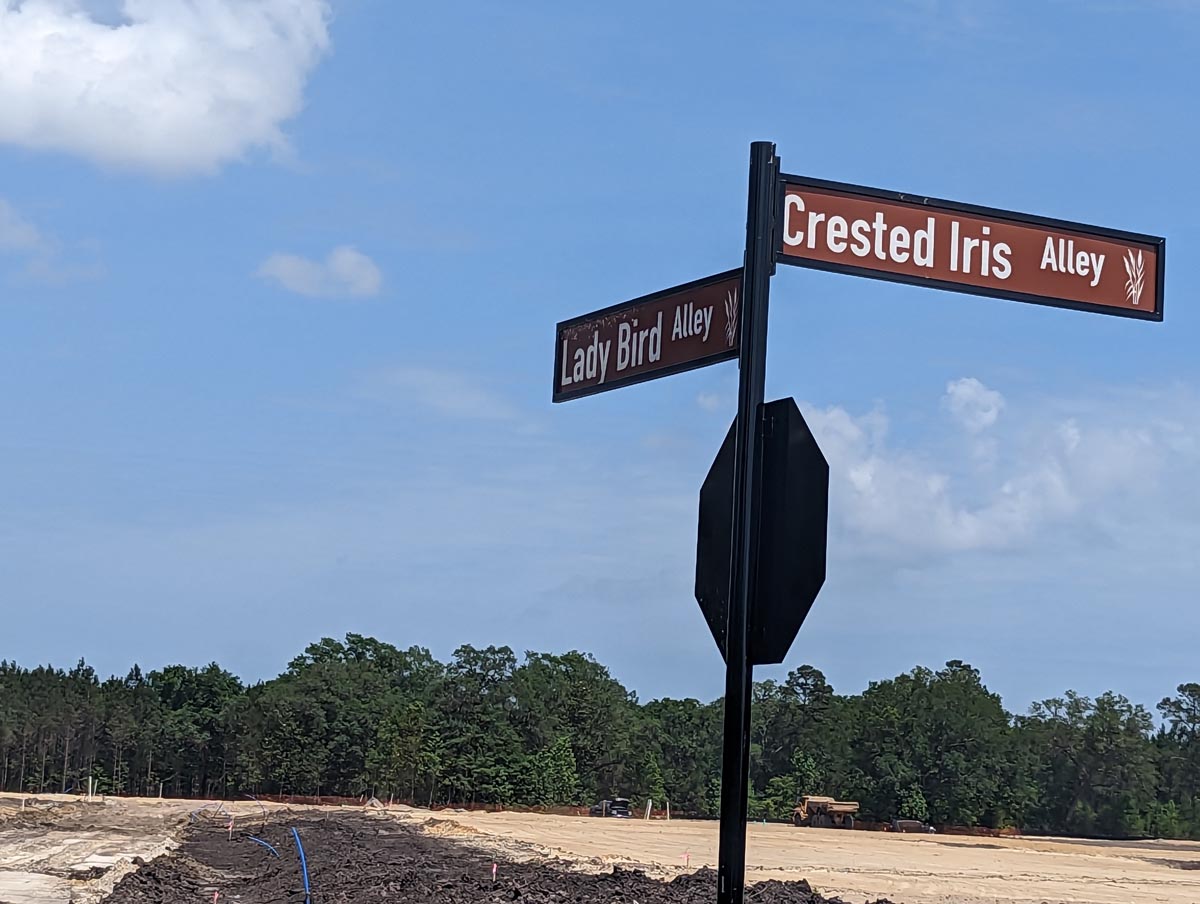 Sea Island Preserve photo 10
